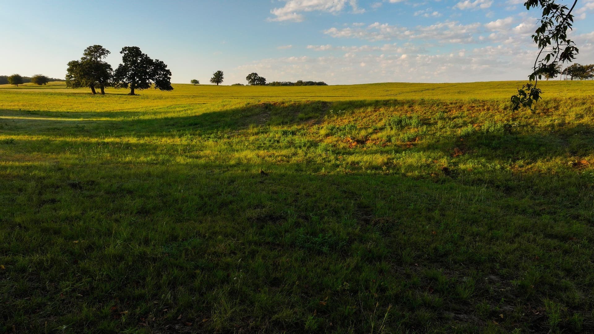 144 acres in Montague County - photo 22