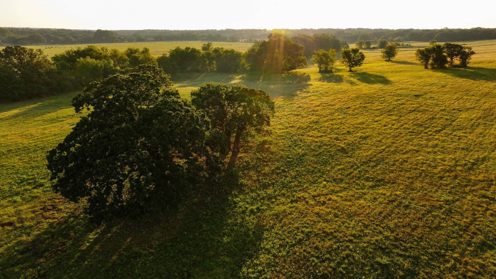 144 acres in Montague County - photo 24