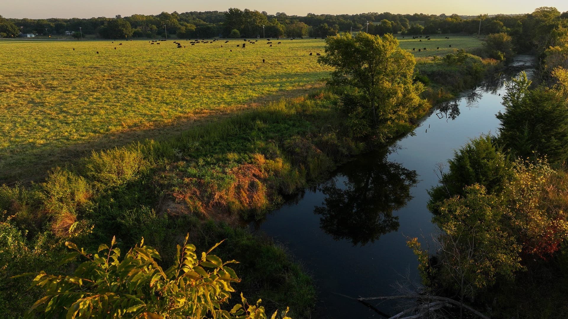 144 acres in Montague County - photo 18