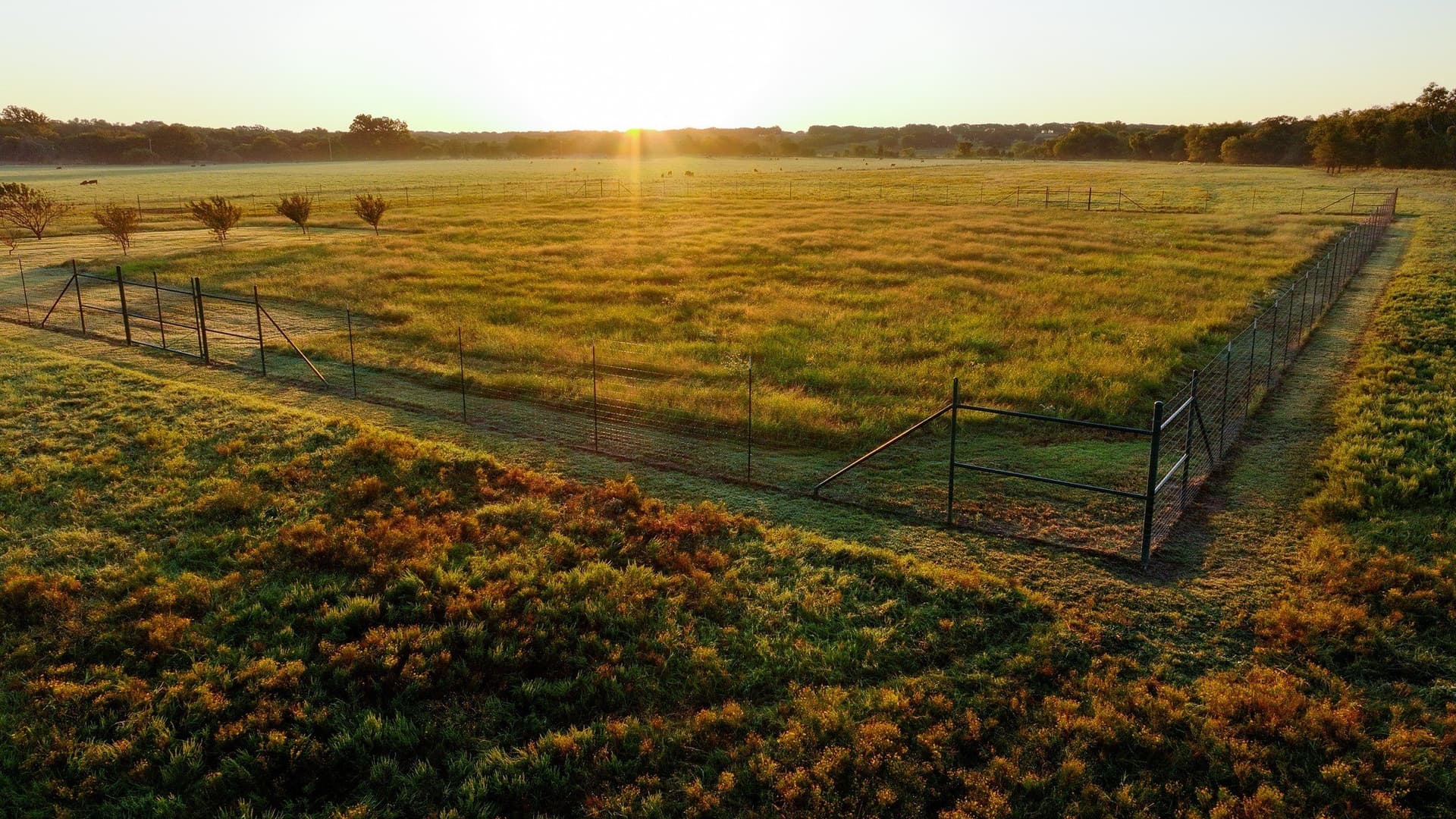 144 acres in Montague County - photo 15
