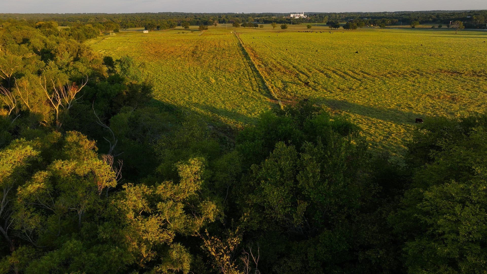 144 acres in Montague County - photo 17