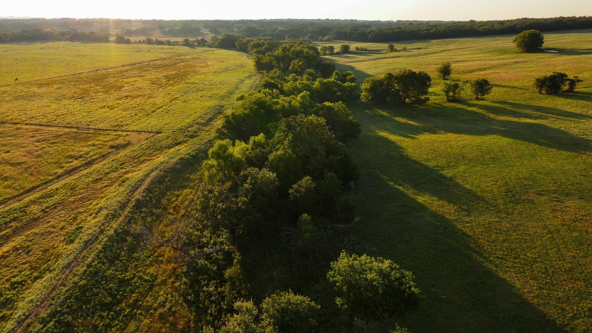 144 acres in Montague County - photo 19