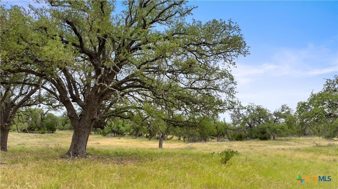 219.46 acres in Gillespie County - photo 45