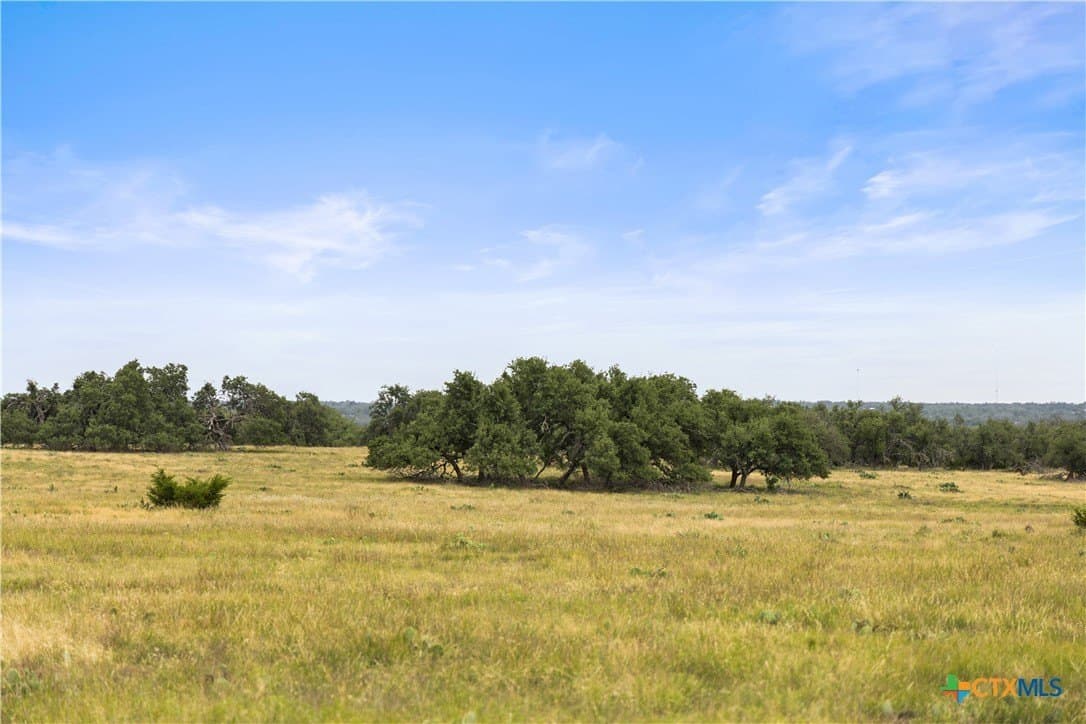 219.46 acres in Gillespie County - photo 38