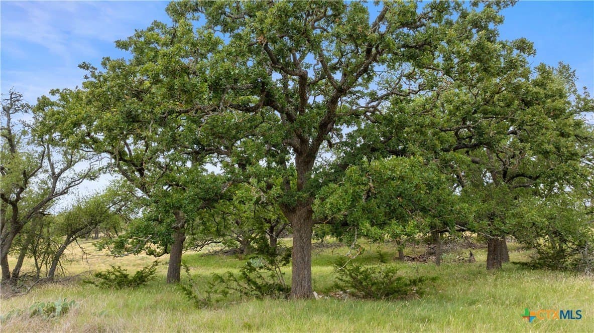 219.46 acres in Gillespie County - photo 46