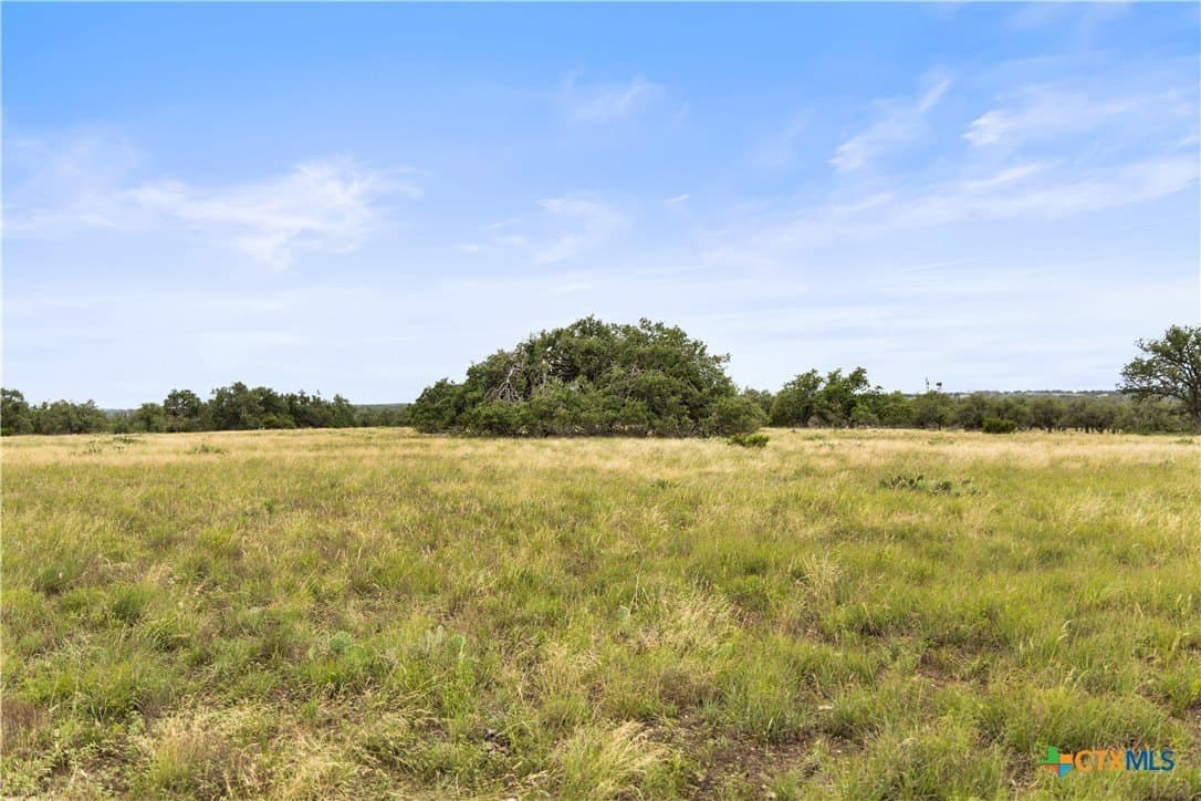 219.46 acres in Gillespie County - photo 36