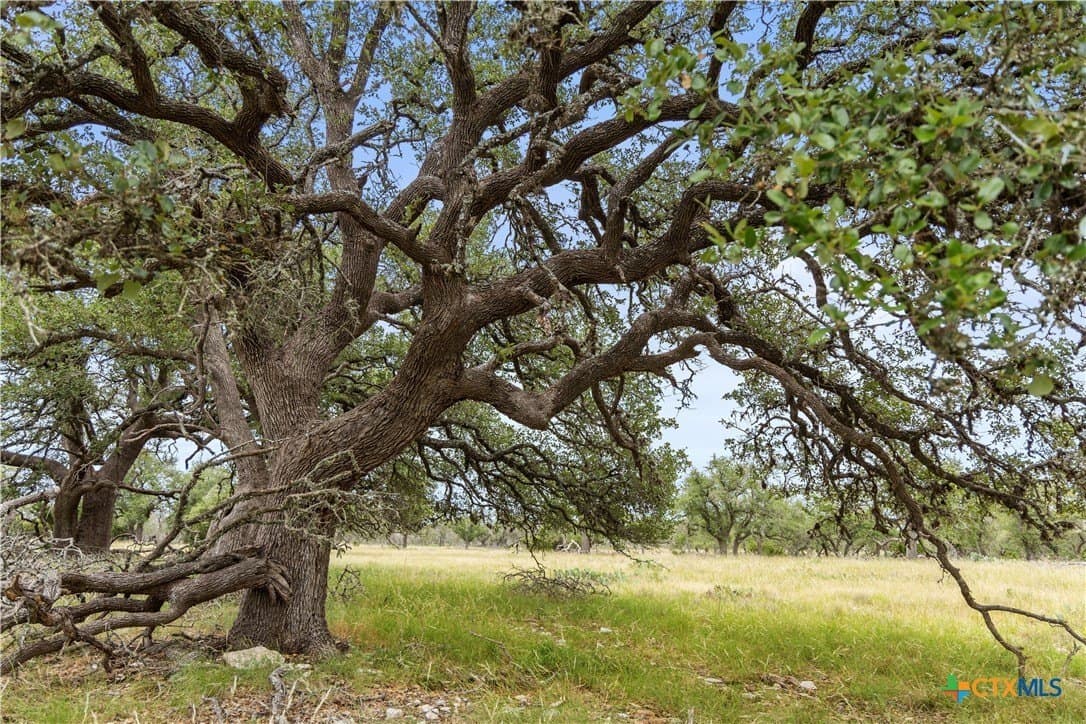 219.46 acres in Gillespie County - photo 22