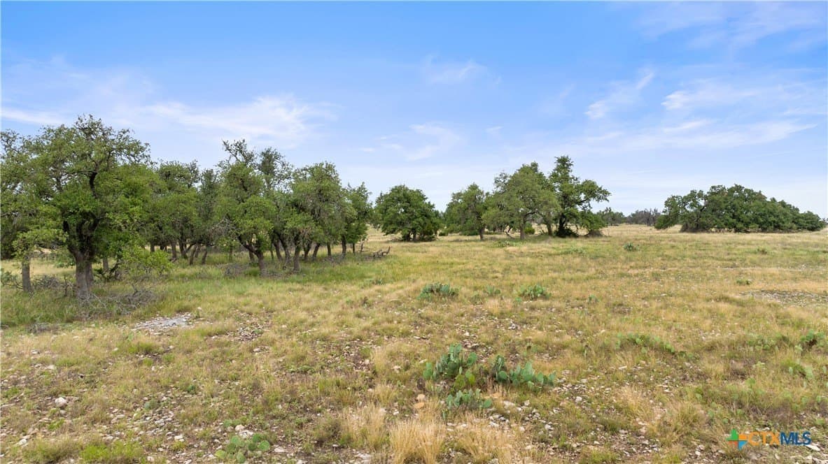 219.46 acres in Gillespie County - photo 44