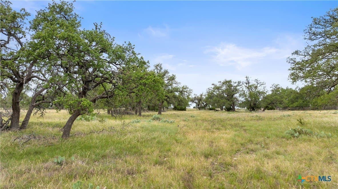 219.46 acres in Gillespie County - photo 42