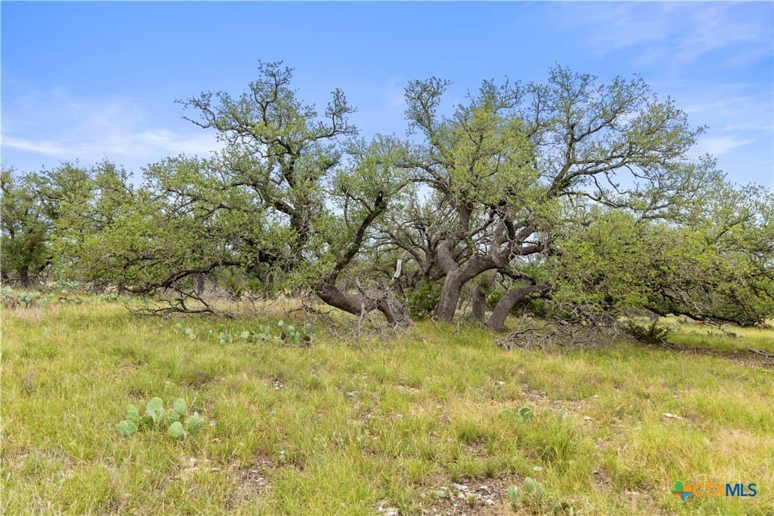 219.46 acres in Gillespie County - photo 25