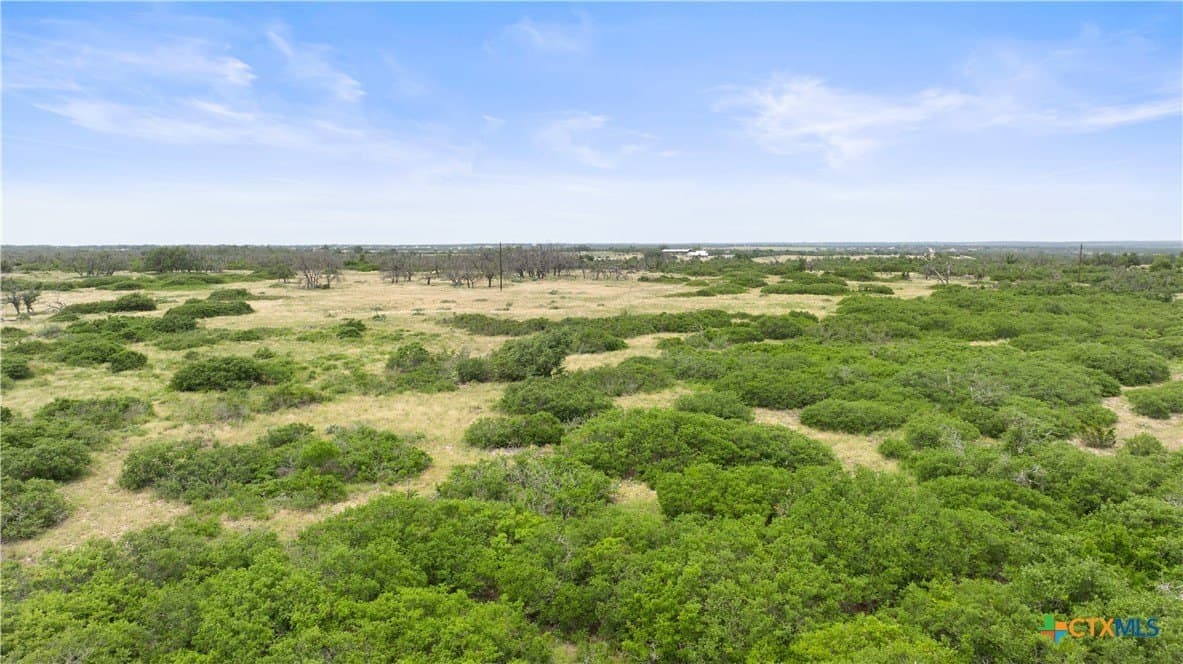 219.46 acres in Gillespie County - photo 13