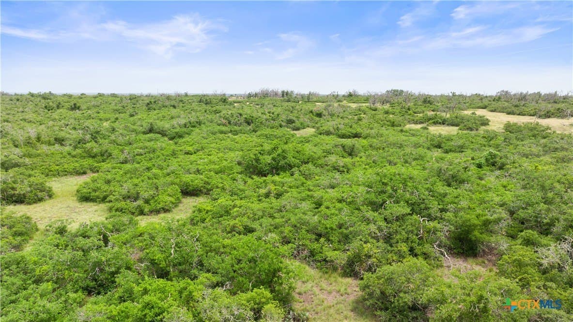 219.46 acres in Gillespie County - photo 9