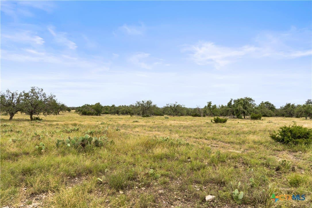 219.46 acres in Gillespie County - photo 32