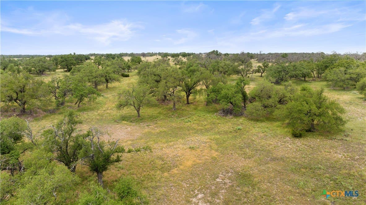 219.46 acres in Gillespie County - photo 18