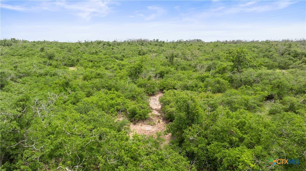 219.46 acres in Gillespie County - photo 8