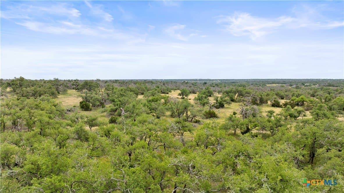 219.46 acres in Gillespie County - photo 47