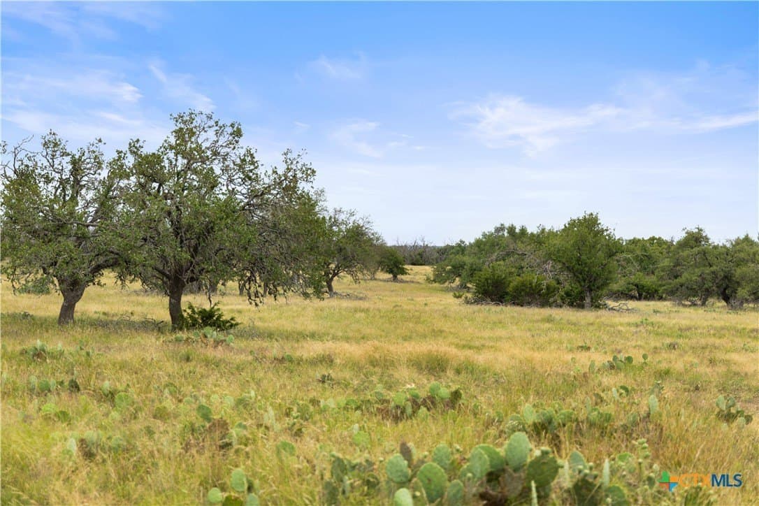 219.46 acres in Gillespie County - photo 33