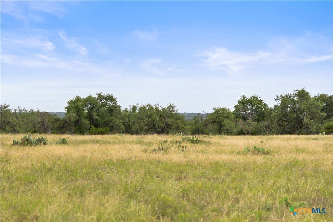 219.46 acres in Gillespie County - photo 35