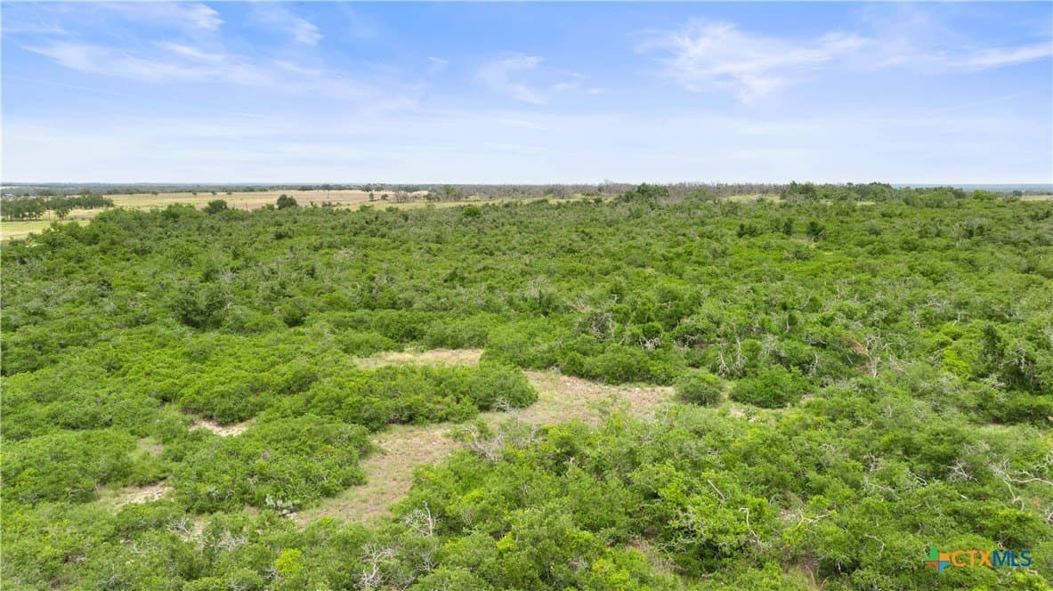 219.46 acres in Gillespie County - photo 10