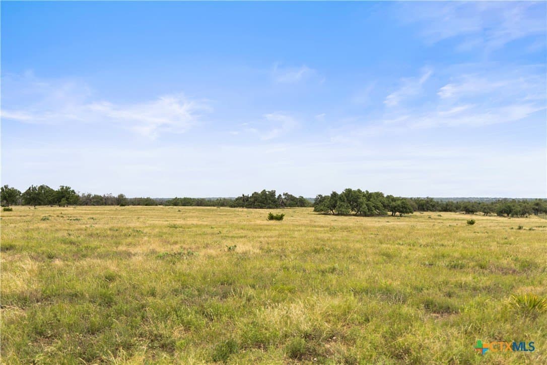 219.46 acres in Gillespie County - photo 37
