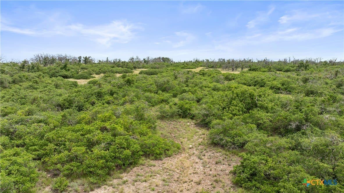 219.46 acres in Gillespie County - photo 15