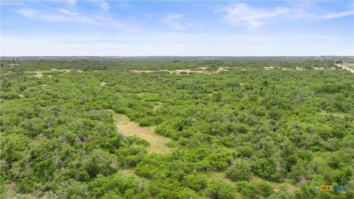 219.46 acres in Gillespie County - photo 14