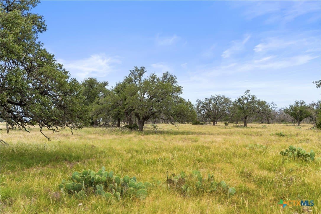 219.46 acres in Gillespie County - photo 23