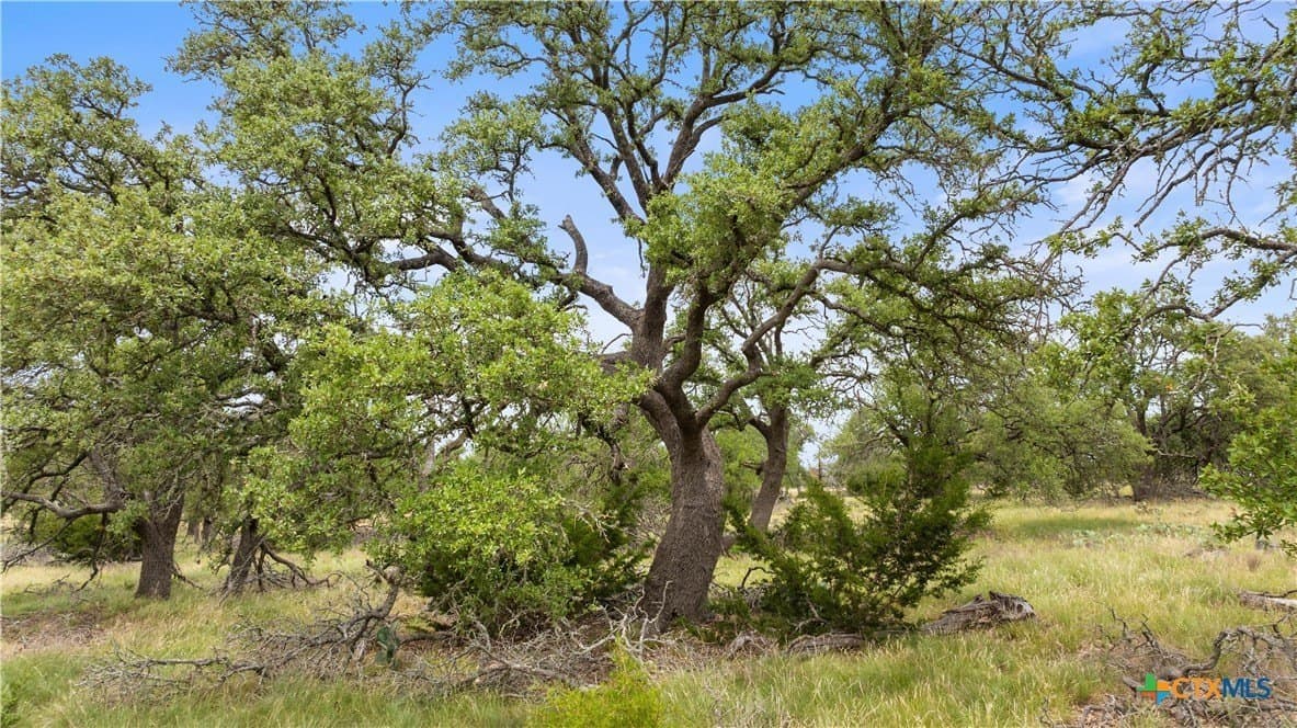 219.46 acres in Gillespie County - photo 17