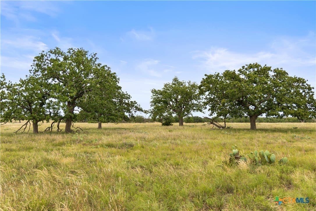 219.46 acres in Gillespie County - photo 34