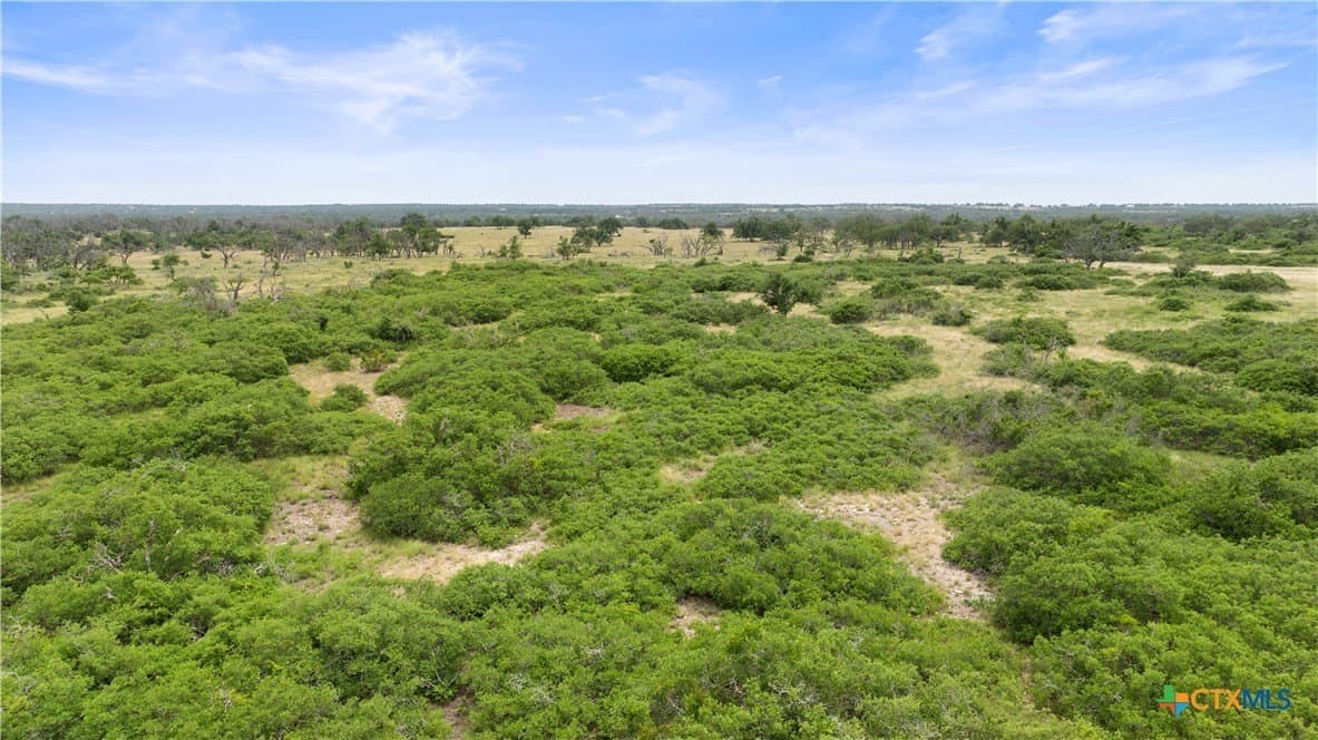 219.46 acres in Gillespie County - photo 12
