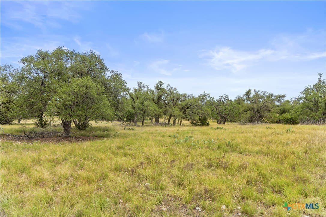 219.46 acres in Gillespie County - photo 26