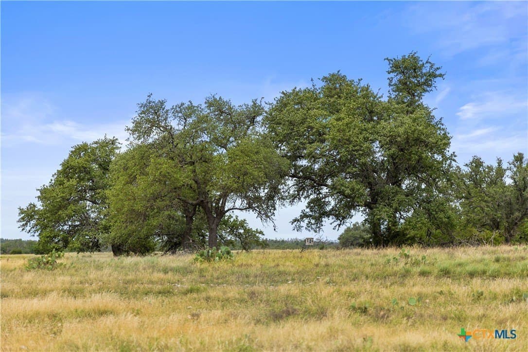 219.46 acres in Gillespie County - photo 29