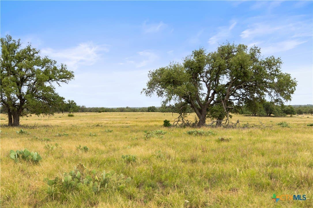 219.46 acres in Gillespie County - photo 40