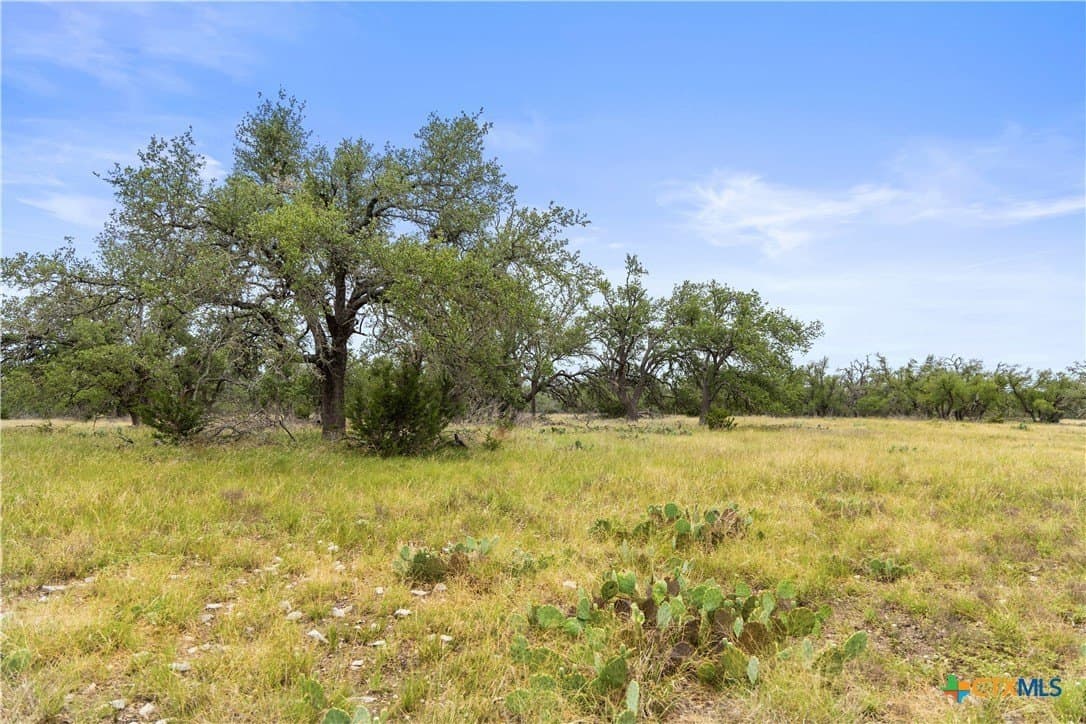 219.46 acres in Gillespie County - photo 24