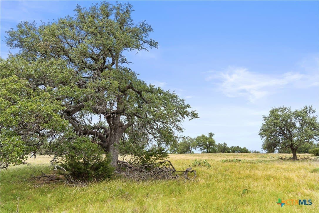 219.46 acres in Gillespie County - photo 28