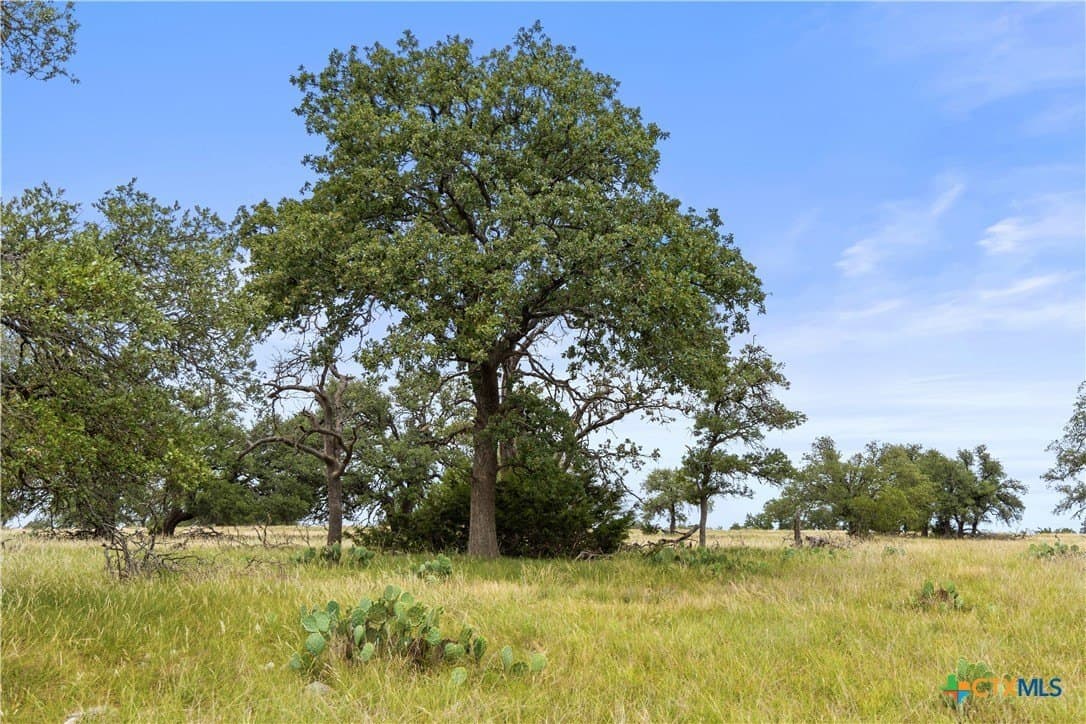 219.46 acres in Gillespie County - photo 27
