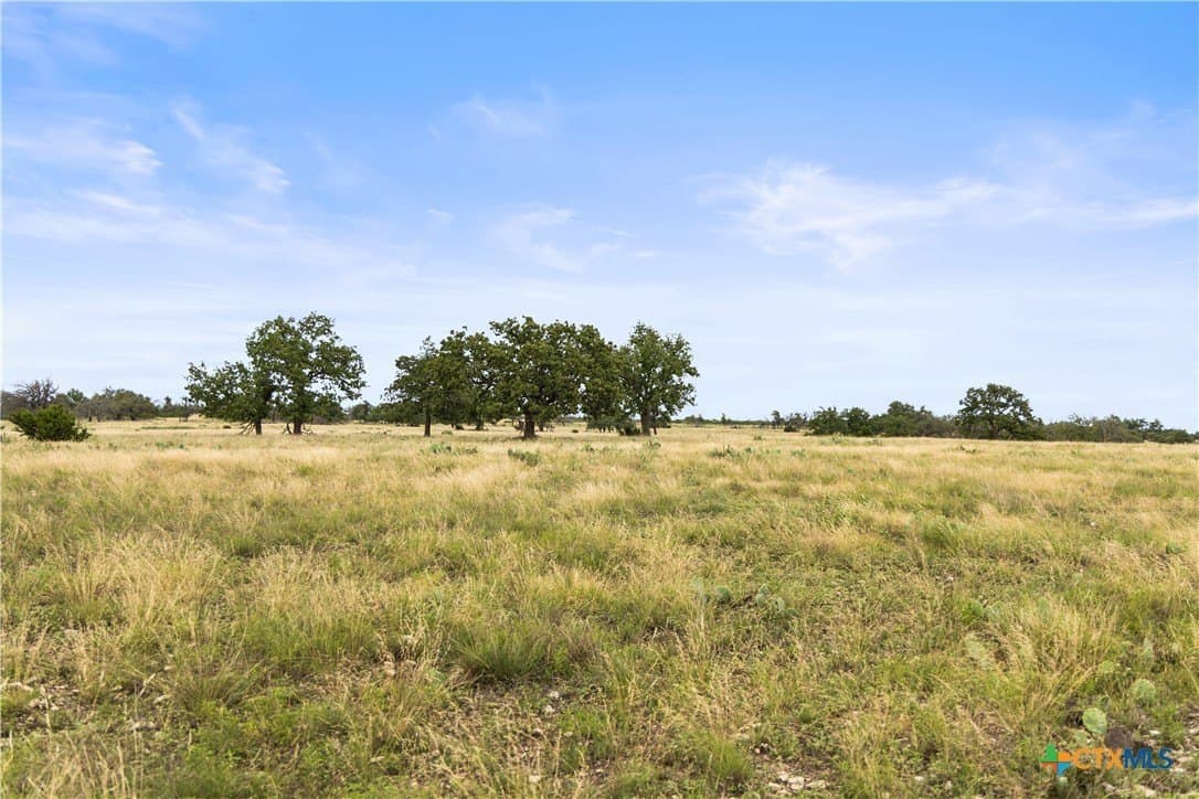 219.46 acres in Gillespie County - photo 31