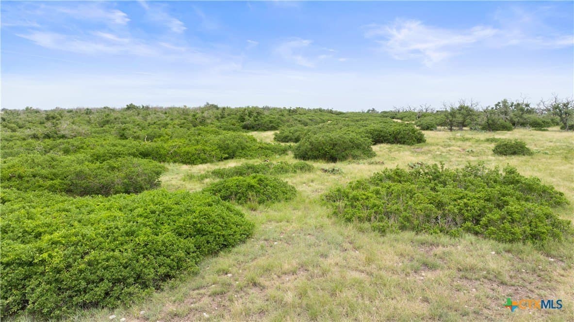 219.46 acres in Gillespie County - photo 11