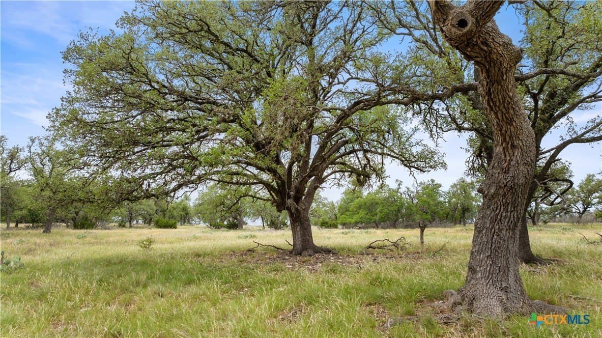 219.46 acres in Gillespie County - photo 19