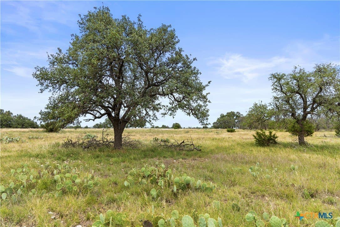 219.46 acres in Gillespie County - photo 30