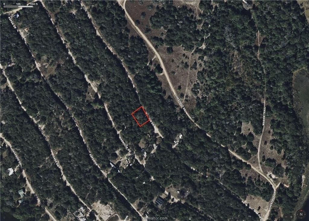 0.29 acres in Burleson County