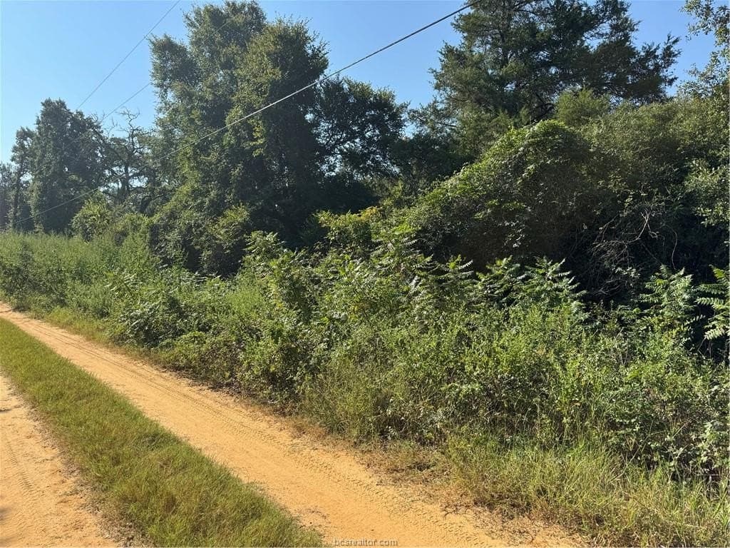 0.29 acres in Burleson County featured view