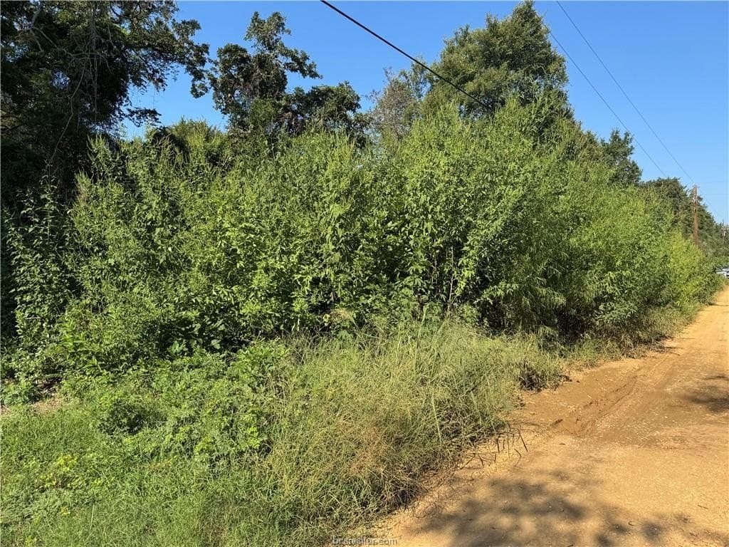 0.29 acres in Burleson County gallery image 4