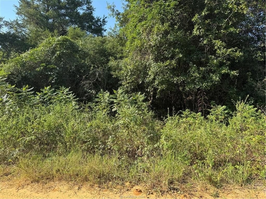 0.29 acres in Burleson County gallery image 3