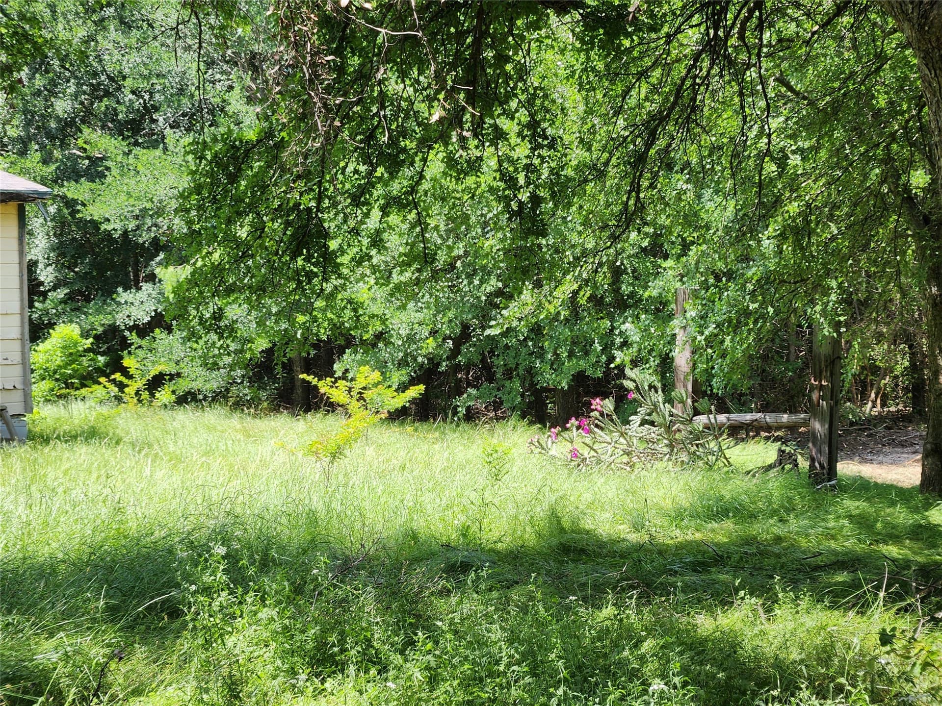 1 acres in Grayson County gallery image 2