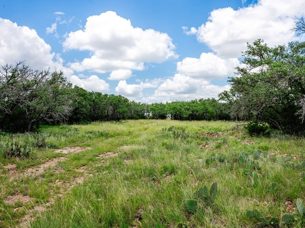 10.01 acres in Gillespie County - photo 11