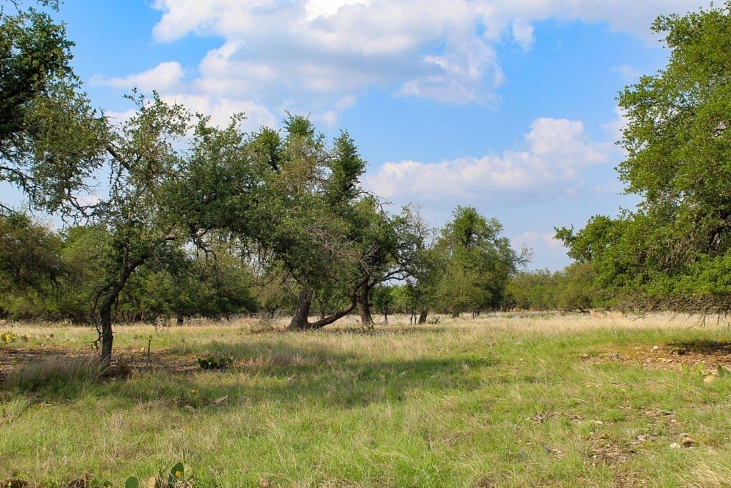 6.28 acres in Kerr County gallery image 3