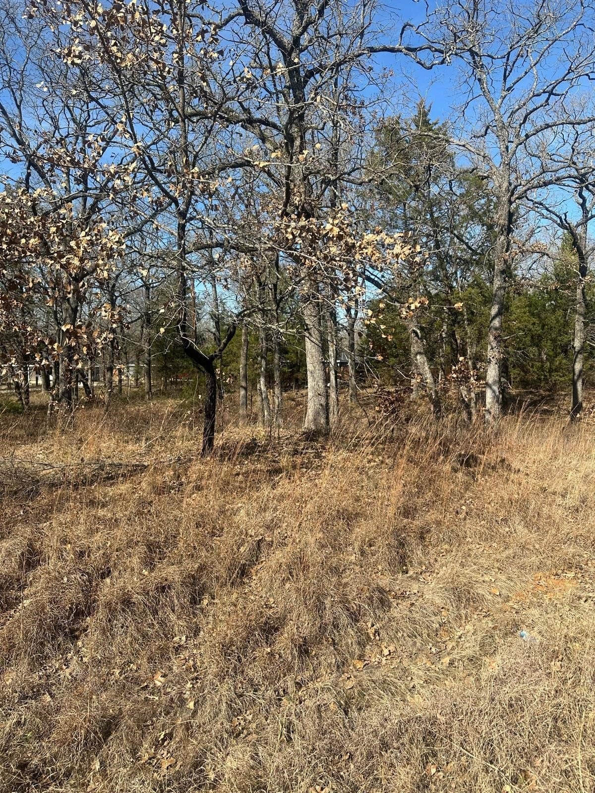 0.23 acres in Henderson County