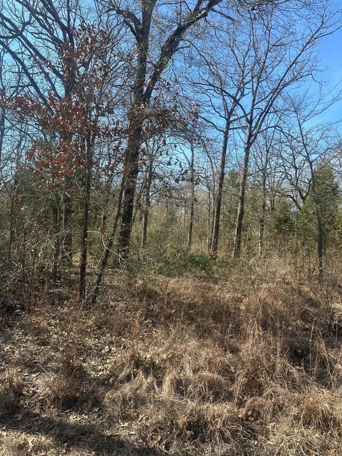 0.23 acres in Henderson County gallery image 3