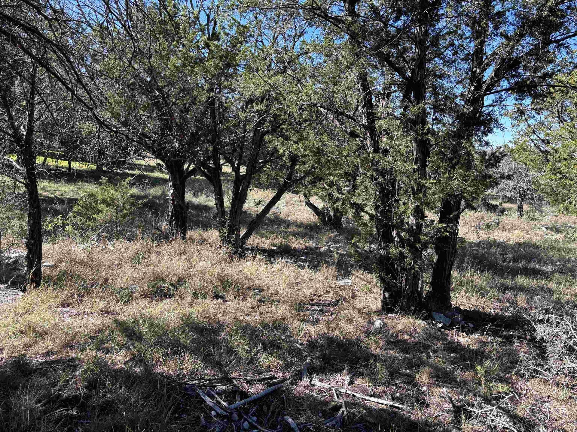 0.23 acres in Llano County gallery image 3